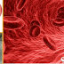 Solo 3 cucharadas de de este remedio casero, mantendrá tus arterias limpias y dile adiós a la hipertension !