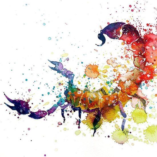 As coloridas aquarelas com pinturas de animais de Tilen Ti Tilen Ti pinturas aquarela colorida animais