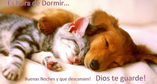 Imagenes de buenas noches, mensajes de buenas noches, dulces sueños Imagenes de buenas noches