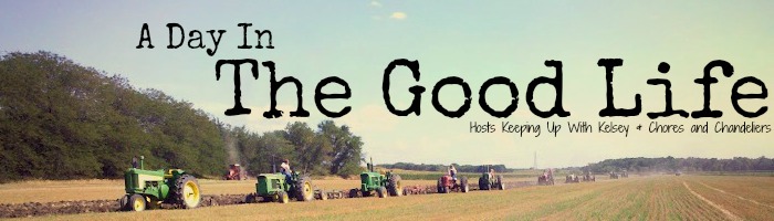 MinettesMaze: The Good Life Link Up-Quotable Quotes