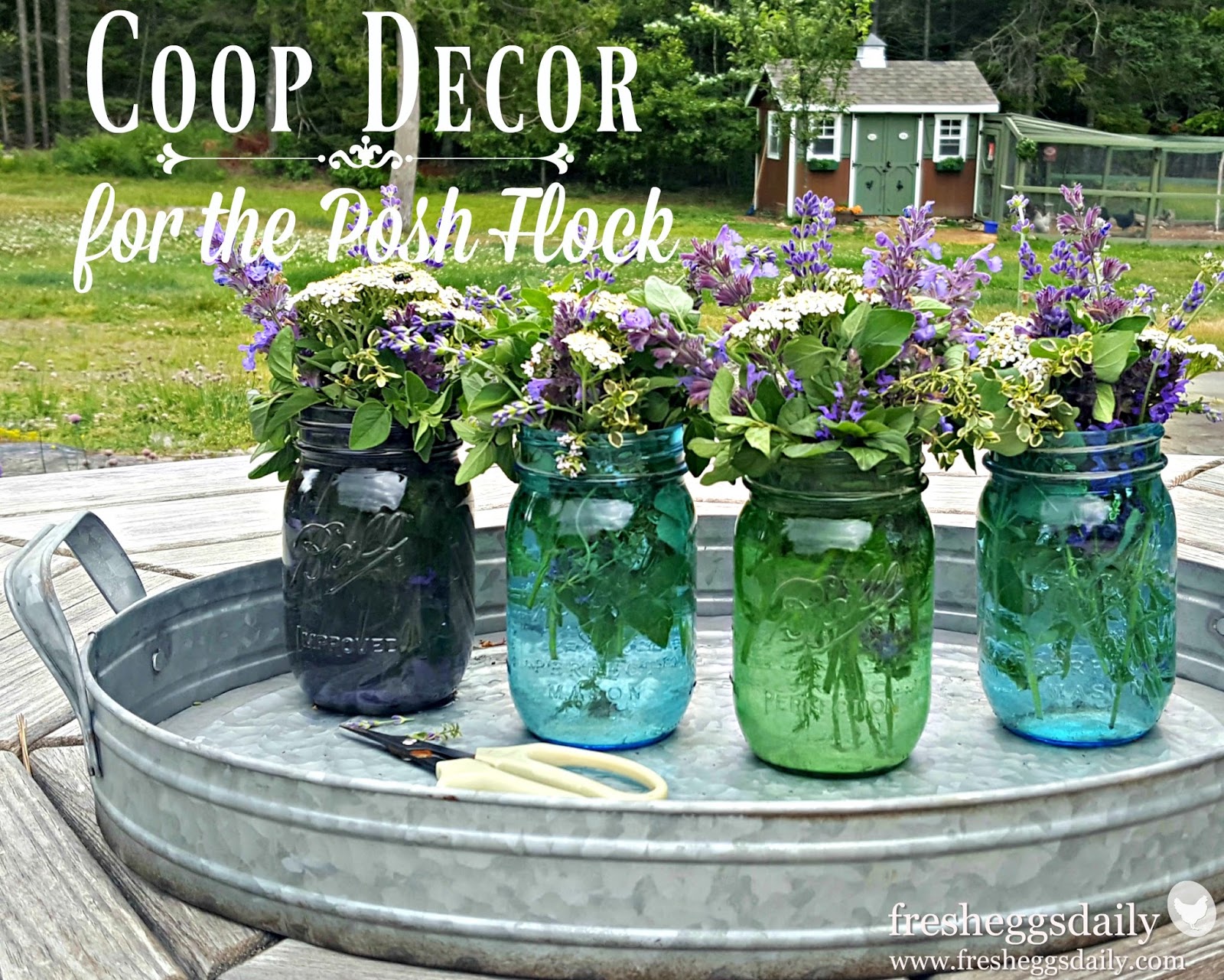 Chicken Coop Decor for the Posh Flock