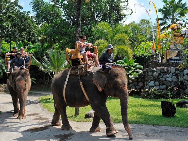 5 Best Tourist Attractions In Bali Island To Spend Our Holiday Time With Family 5 Best Tourist Attractions In Bali Island To Spend Our Holiday Time With Family