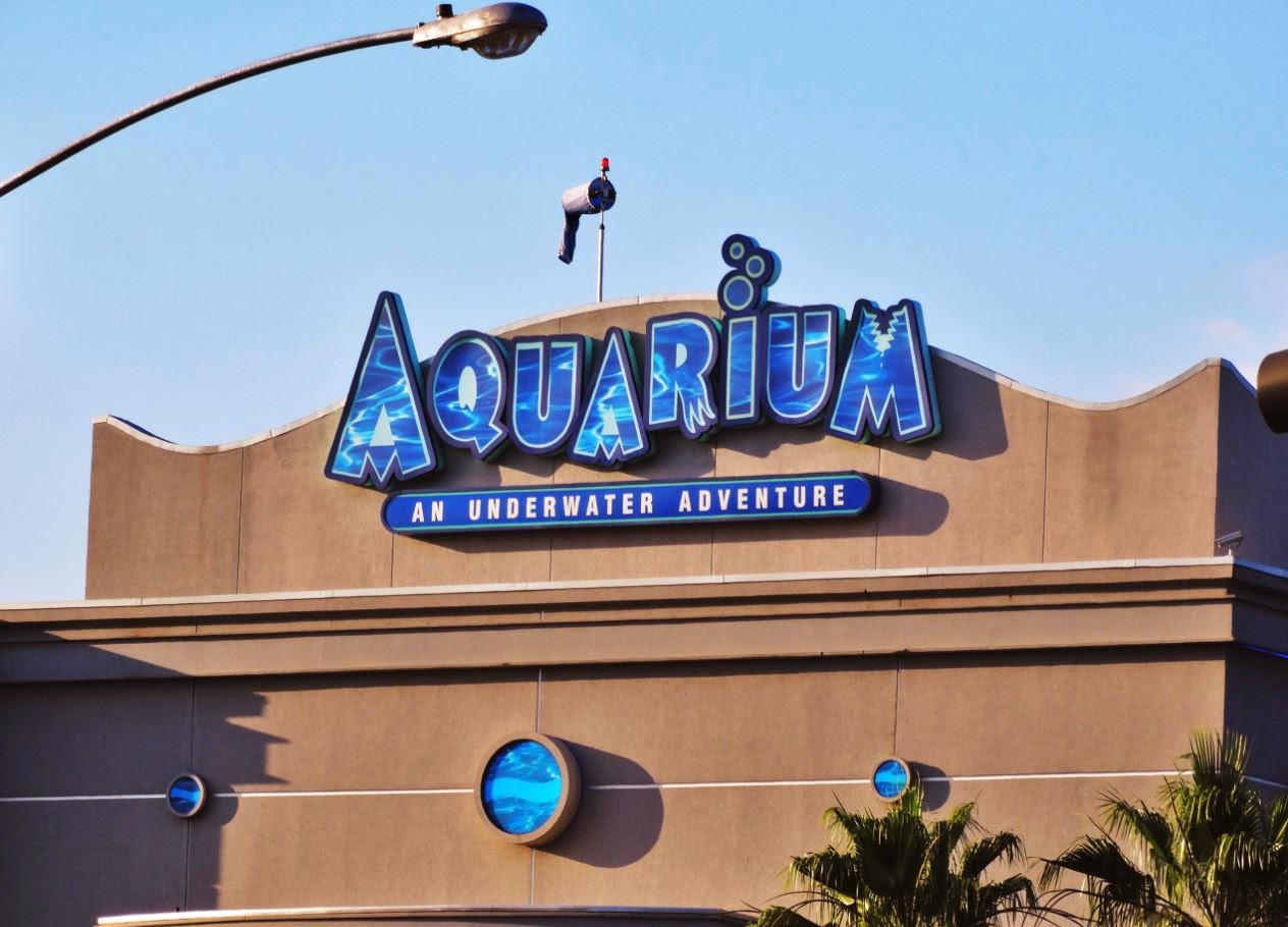 Houston in Pics Ferris Wheel at Downtown Aquarium