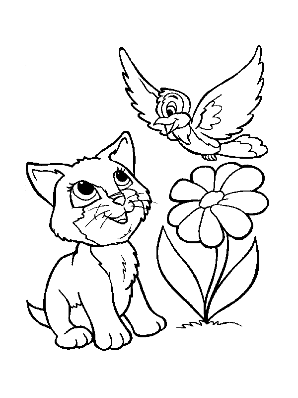 Ausmalbilder Katzen - Malvorlage Gratis