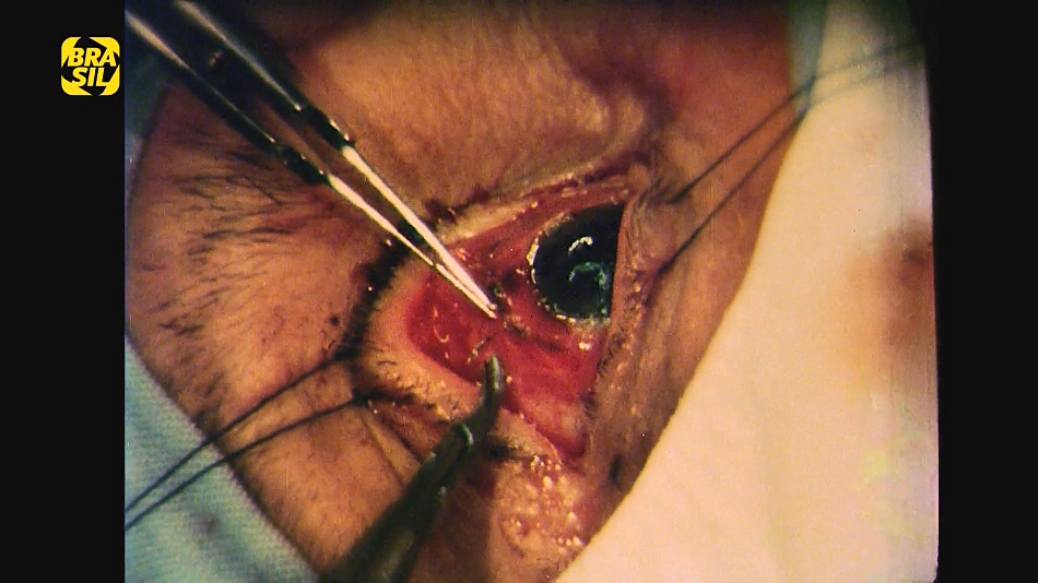 INFERNO CARNAL (HDTV/NACIONAL/1080P) - 1974 (Versão Atualizada) Inferno%2BCarnal%2B1977%2B05