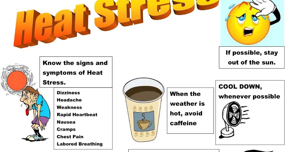 Misting SA Heat Stress Fact Sheet