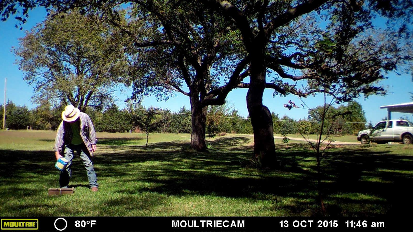Windy Acres Diary October 2015