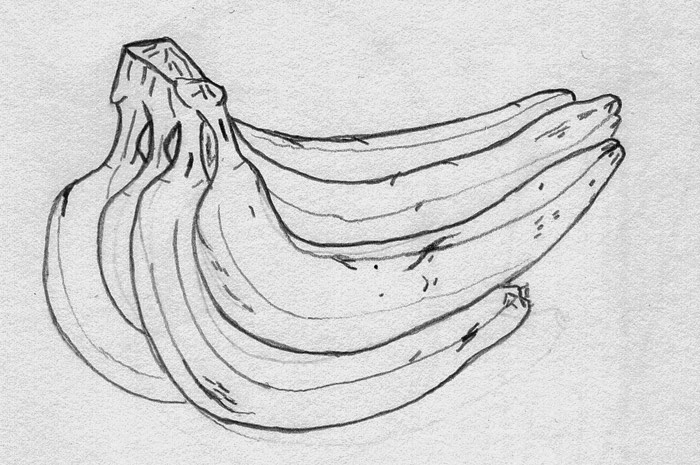 contour sketches contour sketches