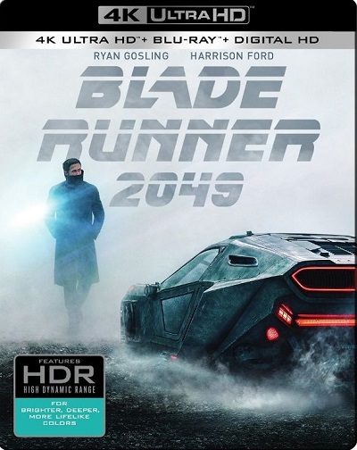 Blade Runner 2049 (2017) 2160p HDR BDRip Dual Latino-Inglés [Subt. Esp] (Ciencia ficción)
