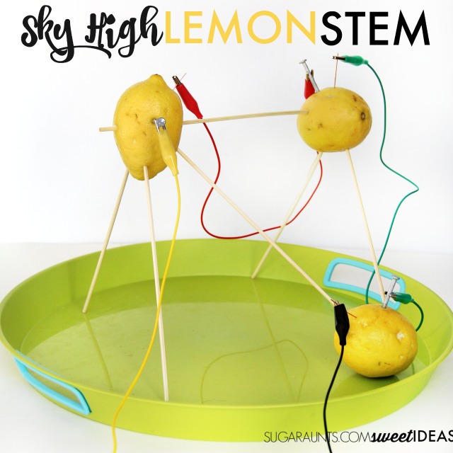 Lemon STEM Science experiment ideas for kids