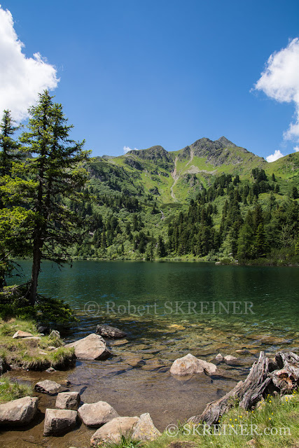 Robert SKREINER - Blog