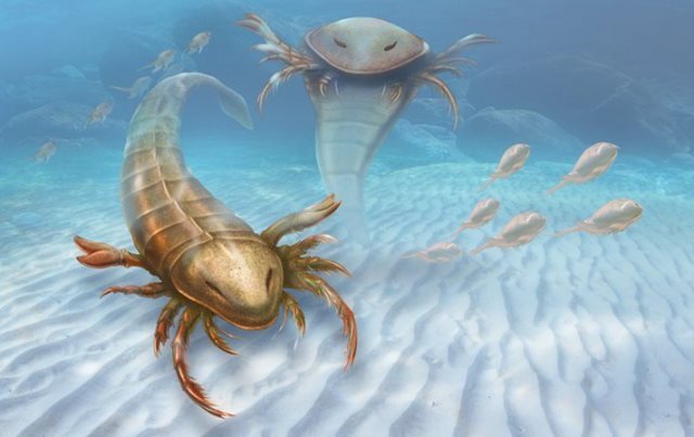 人の身長を超える巨大サソリの化石がオーストラリアで発見