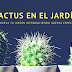 Introduce cactus en tu jardín para renovar su apariencia