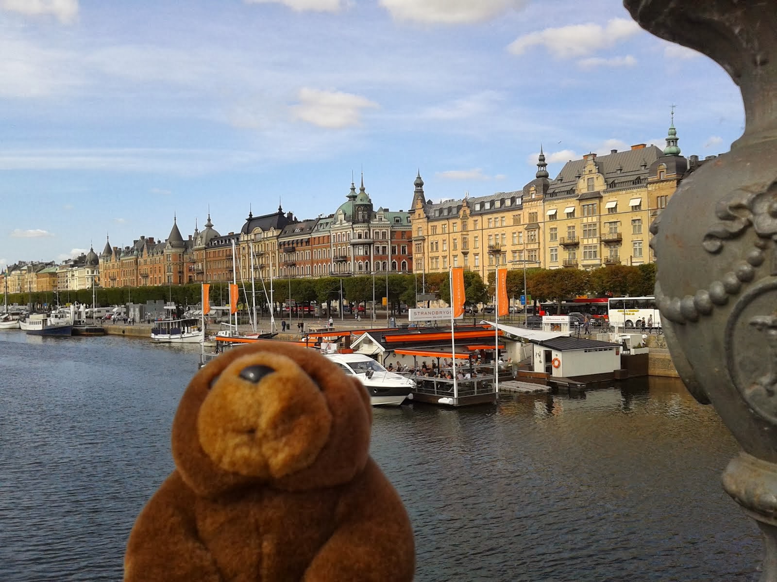 Teddy Bear in Stockholm
