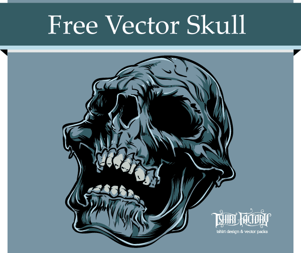 skull clip art vector - photo #41