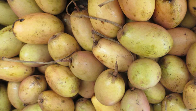 Buah Kemang Buah Kemang