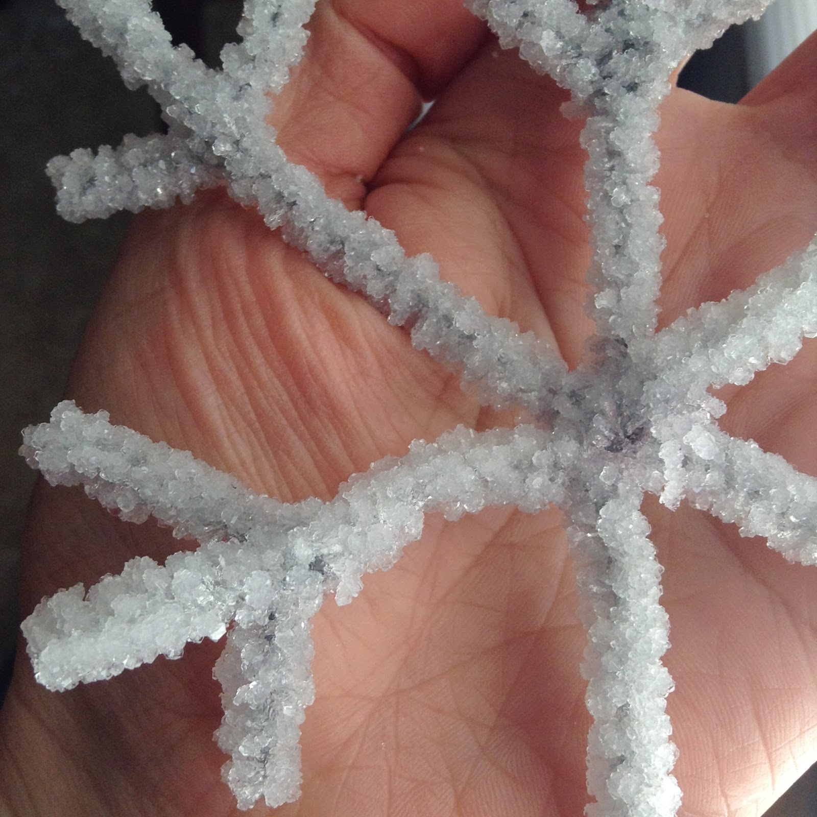 снежинка из кристаллов соли. выращиваем снежинку из кристаллов соли. украшения из кристаллов соли. поделки из кристаллов соли. снежинка из кристаллов соли.