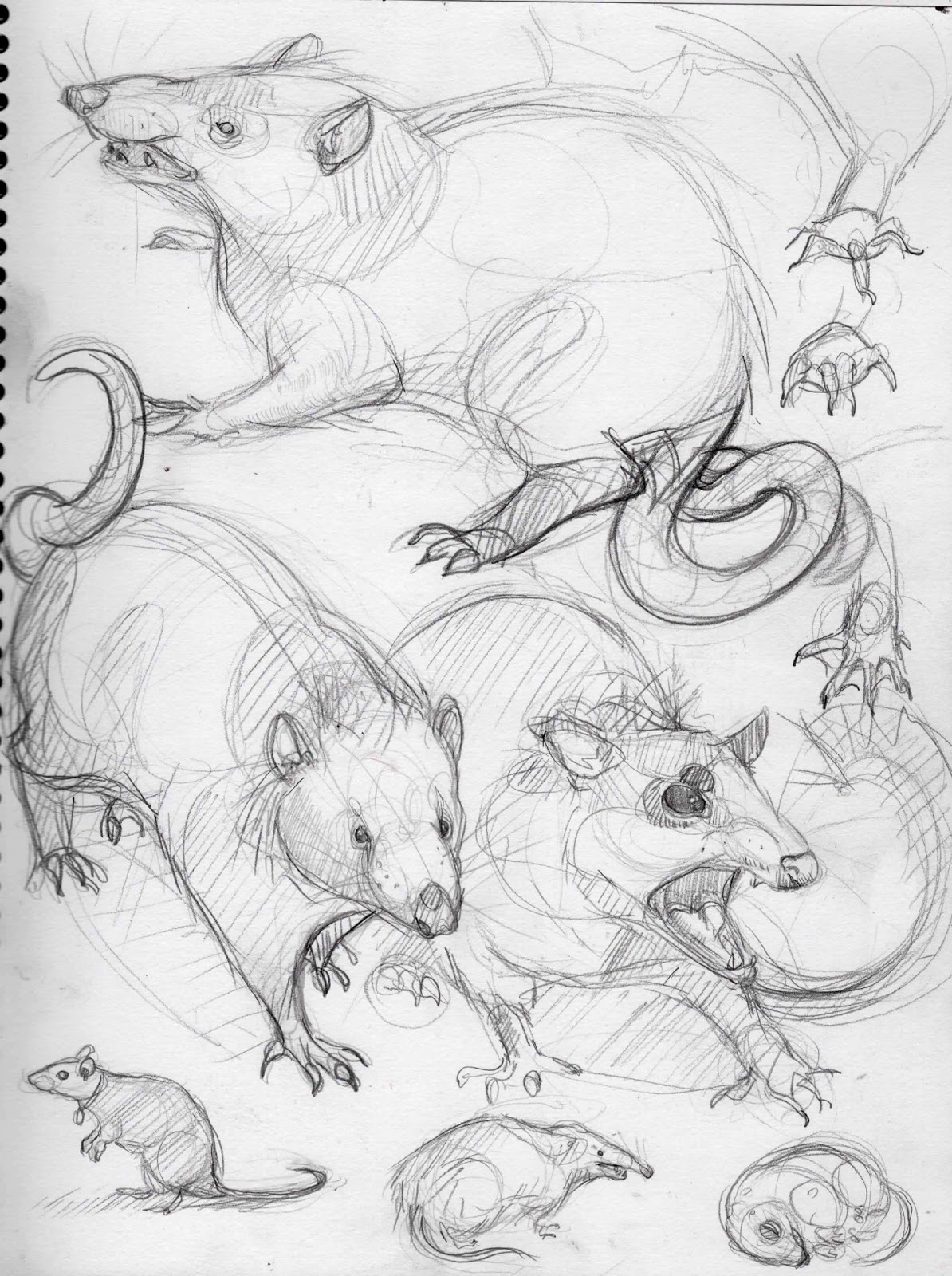 Princess Bride Project Fat fat the water rat!