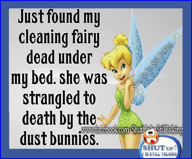Cleaning Fairy