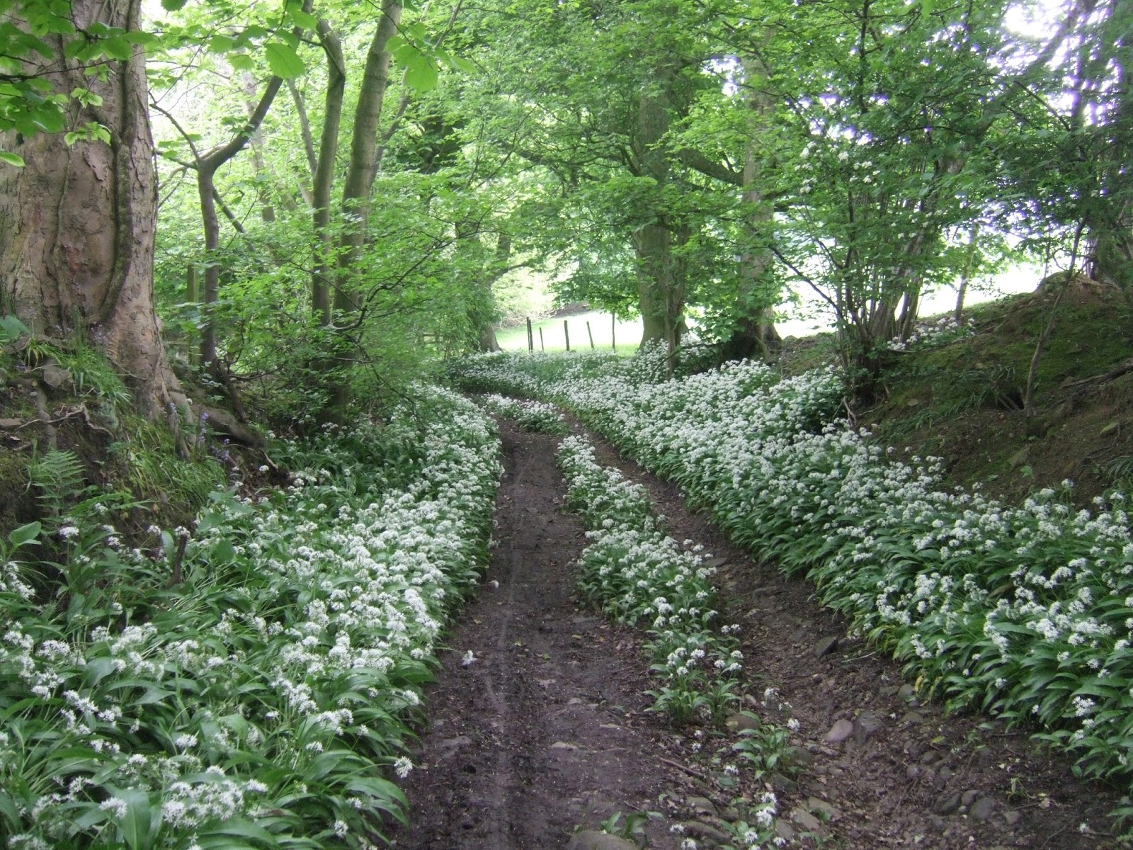 Alone Beneath The Sky The Washburn Valley (Bottom Half) 29/05/16