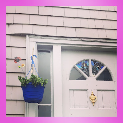 hanging plant and stained glass window detail from apartment in federal hill providence