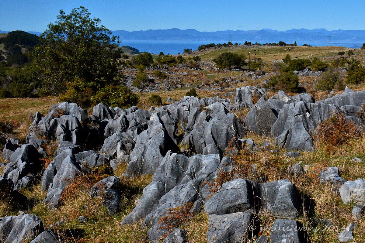 Two Go Tiki Touring A Journey Through Takaka Hill