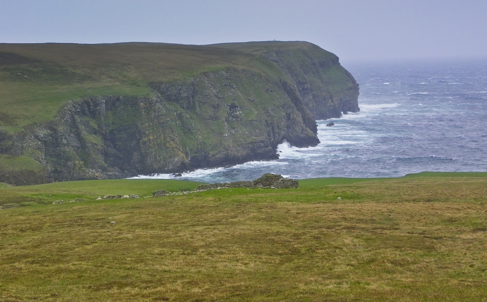 Bard of bressay 07 image