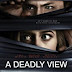 Sinopsis film A Deadly View (2018)