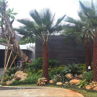 Tukang Taman Green Cove Bsd | Jasa Tukang Taman Tukang Taman Green Cove Bsd | Jasa Tukang Taman