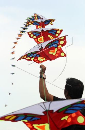 Banyuwangi kite festival 2016.