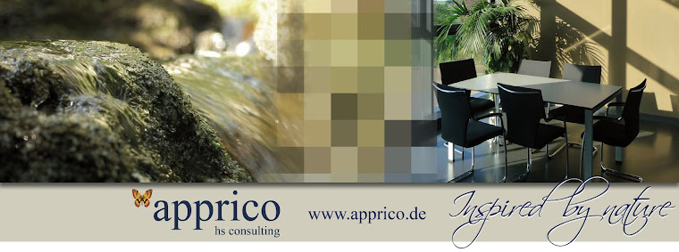 apprico New´s - Business-Feng-Shui aus Baden-Baden