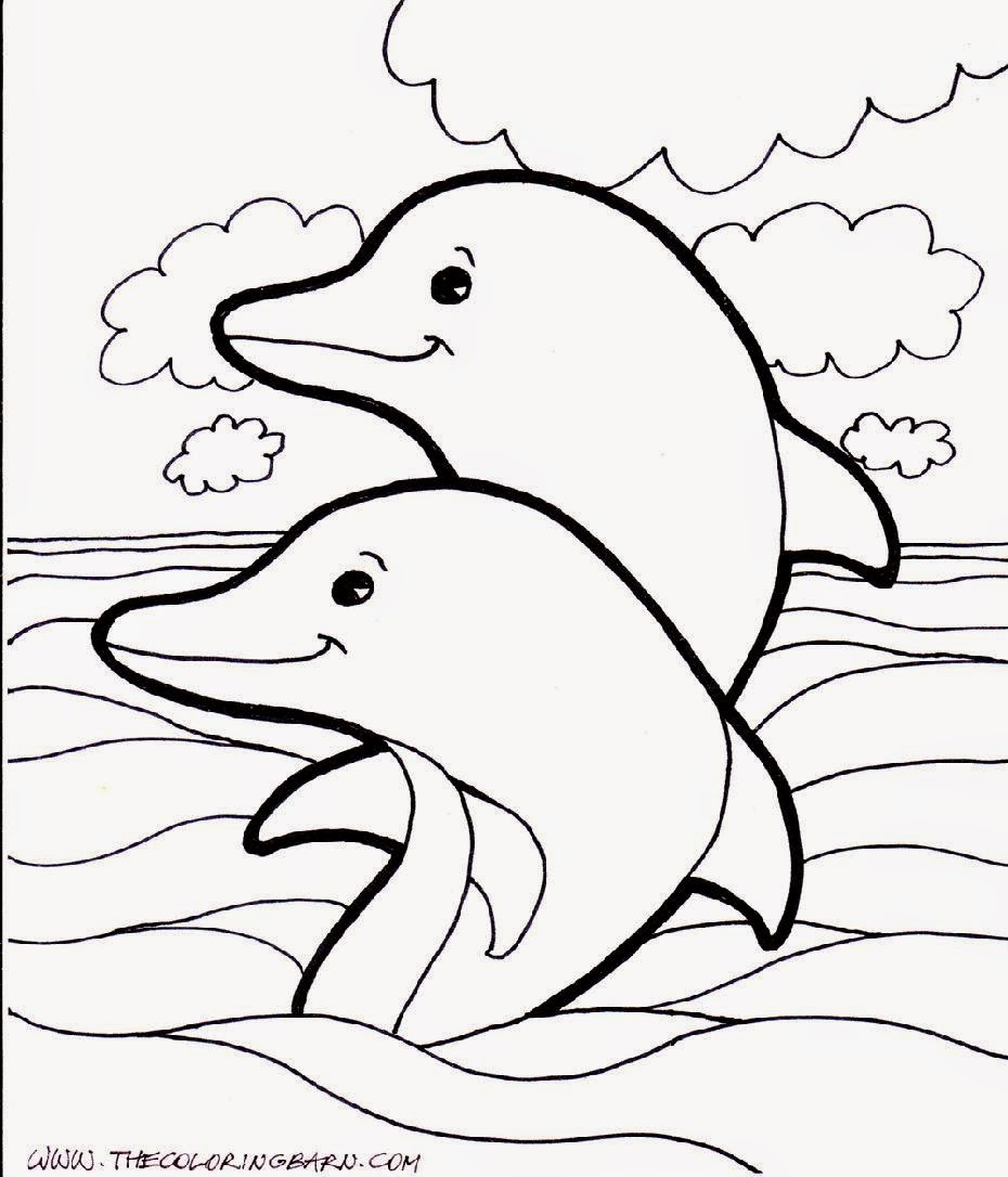 dolphin pictures to color