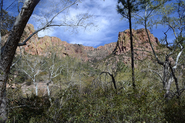 high valley with high cliffs