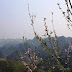 See beautiful late blooming peach blossom on Dong Van stone plateau