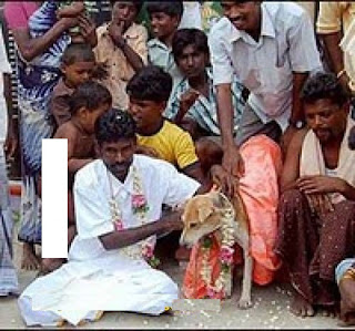 शादी में खींची गयी ऐसी मजेदार तस्वीरें जिन्हें देख आप अपनी हंसी नहीं रोक पाएंगे (Most Funny Images Of Indian Wedding In Hindi), Indian Husband Wife Funny Images, Funny Images In Hindi, Latest Funny Photos, Funny Photos In Hindi, Most Interesting Images In Hindi, Latest Funny Images Of Wedding, शादी में खींची गयी ऐसी मजेदार तस्वीरें जिन्हें देख आप अपनी हंसी नहीं रोक पाएंगे (Most Funny Images Of Indian Wedding In Hindi), Indian Husband Wife Funny Images, Funny Images In Hindi, Latest Funny Photos, Funny Photos In Hindi, Most Interesting Images In Hindi, Latest Funny Images Of Wedding,