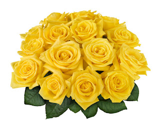 Rosas Amarillas Rosas Amarillas