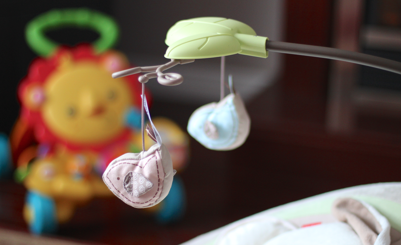 snugabunny deluxe bouncer