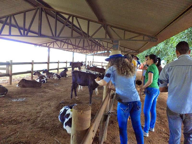 ENGENHARIA AGRONÔMICA: Alunos de Agronomia realizam visita técnica em ...