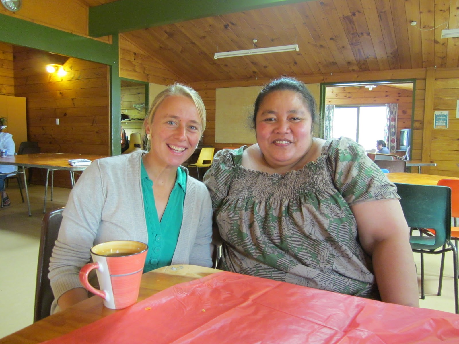 Alison in Aotearoa/ New Zealand: When in New Zealand.