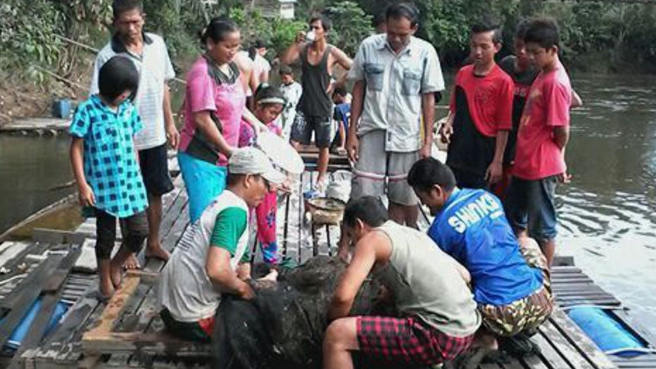 Baru 2 Tahun Bumdes di Desa Nanga Kiungkang Miliki Aset Rp425 Juta Baru 2 Tahun Bumdes di Desa Nanga Kiungkang Miliki Aset Rp425 Juta