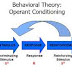 Teori Behavioral