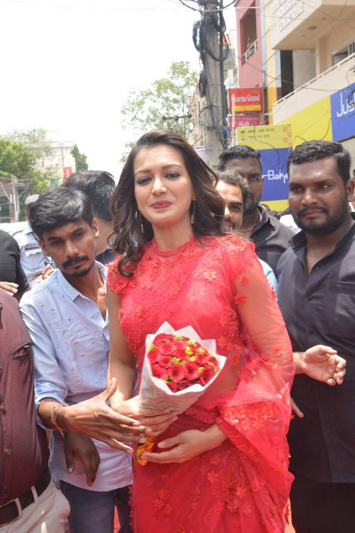 Catherine Tresa In Red Saree At B New Mobile Store Launch At Guntur