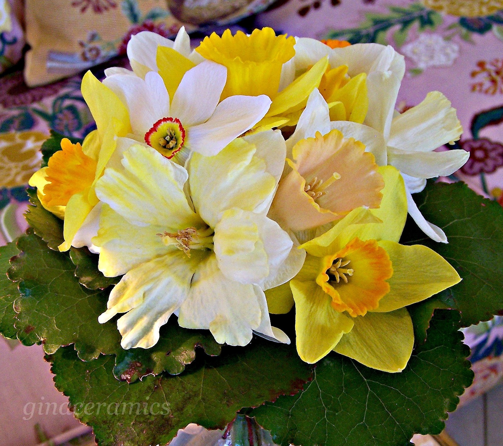 Art and Alfalfa The fabulous, the fantastic, the sensational Galax Leaf