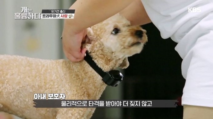 이미지에 대체텍스트 속성이 없습니다; 파일명은 2y5392jt9ej77vpcl1f3.jpg 입니다.