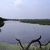 Inde - parc de Keoladeo Bharatpur, le domaine des oiseaux