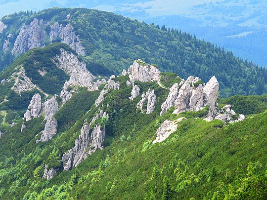 Widok Rzędowych Skał z południowego stoku Siwego Wierchu. Widok Rzędowych Skał z południowego stoku Siwego Wierchu.