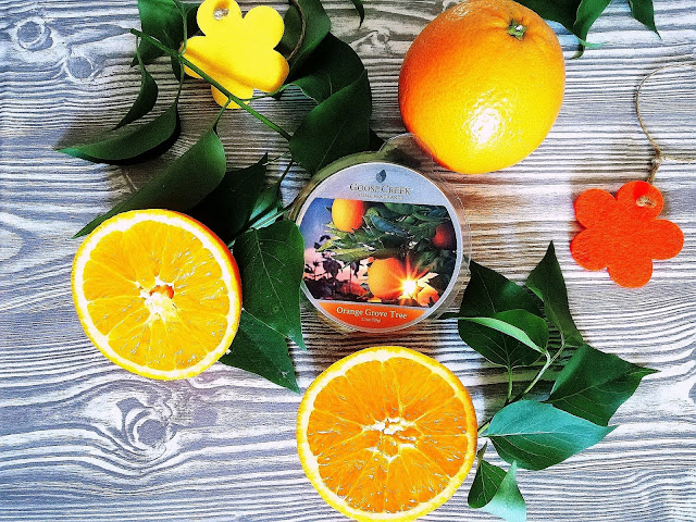 43. Soczyście cytrusowe cudo... Orange Grove Tree Goose Creek Candle