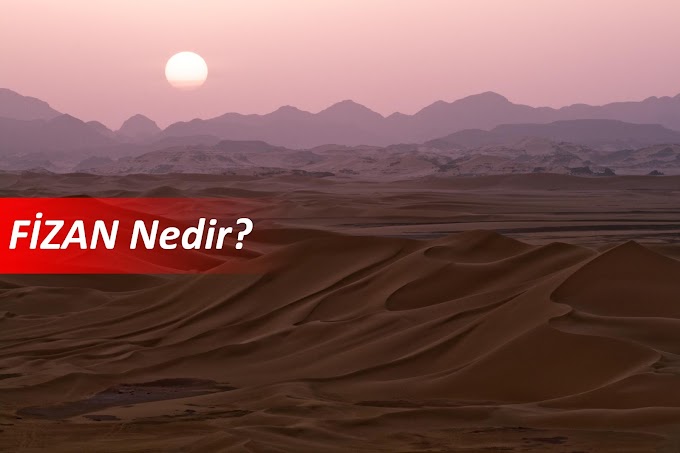 Fizan Nedir?