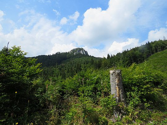 Widok na szczyt Havraniej Skały. Widok na szczyt Havraniej Skały.