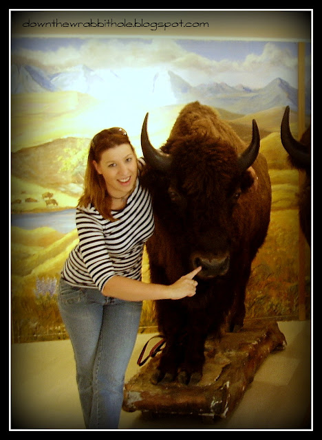 Fort McLeod Alberta Canada, buffalo display museum